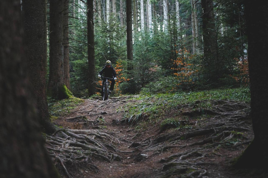 Jaki rower elektryczny MTB wybrać do 10000